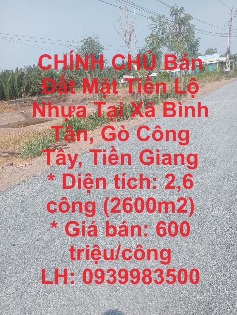 CHÍNH CHỦ Bán Đất Mặt Tiền Lộ Nhựa Tại Xã Bình Tân, Gò Công Tây, Tiền Giang - Ảnh chính